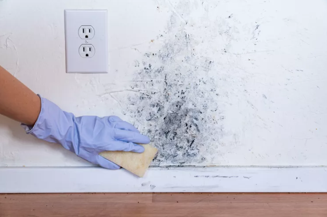 Mold Remediation for Condominium & Residential Buildings